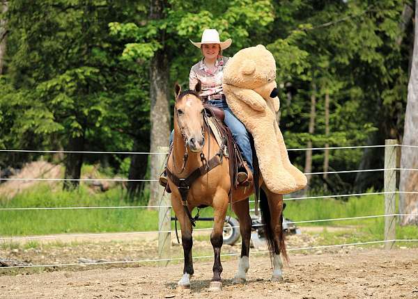 show-quarter-horse