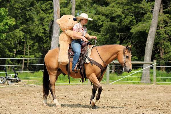 trail-quarter-horse