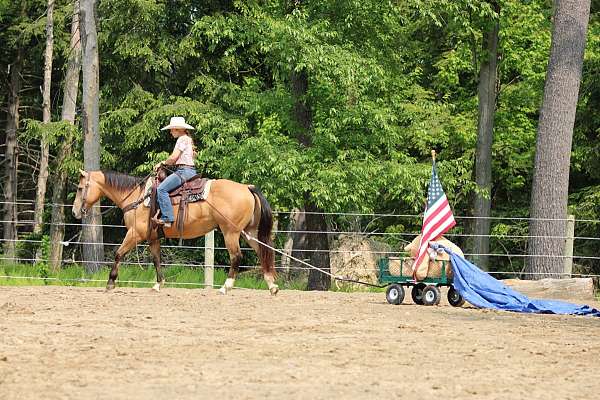 trail-riding-quarter-horse