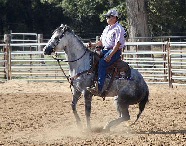 barrel-racing-quarter-horse