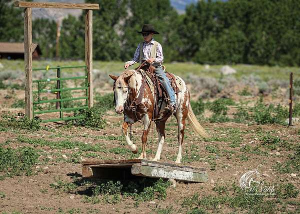 ridden-western-paint-pony