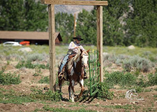 trail-paint-pony