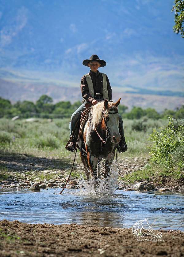 trail-riding-paint-pony