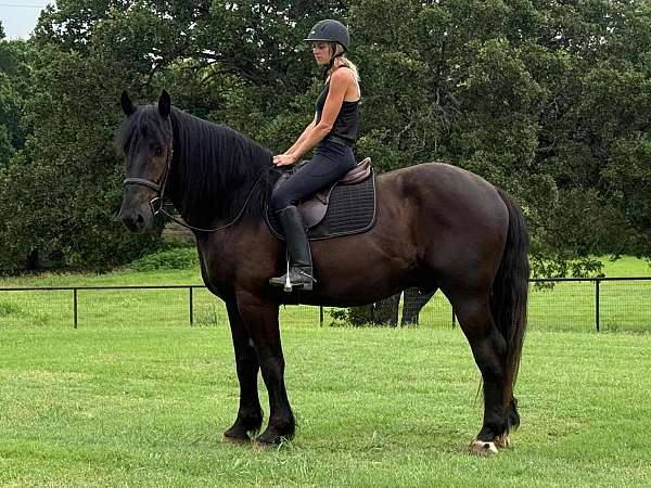 smaller-quarter-pony