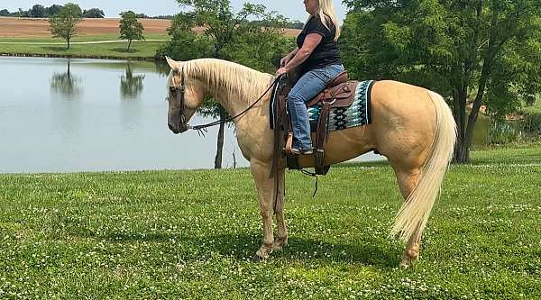 flashy-quarter-horse