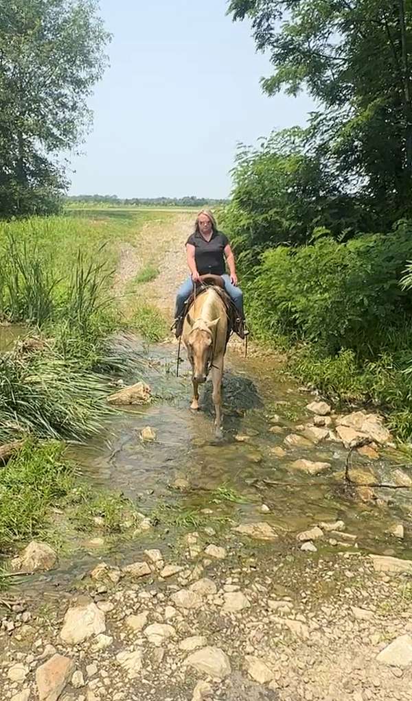 trail-riding-quarter-horse