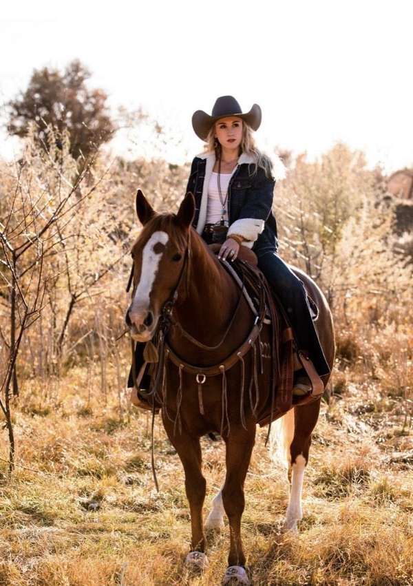 ranch-quarter-horse
