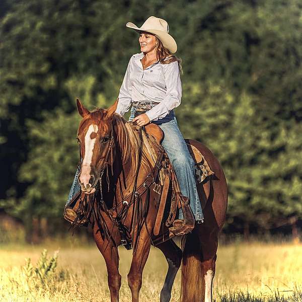 ridden-western-quarter-horse