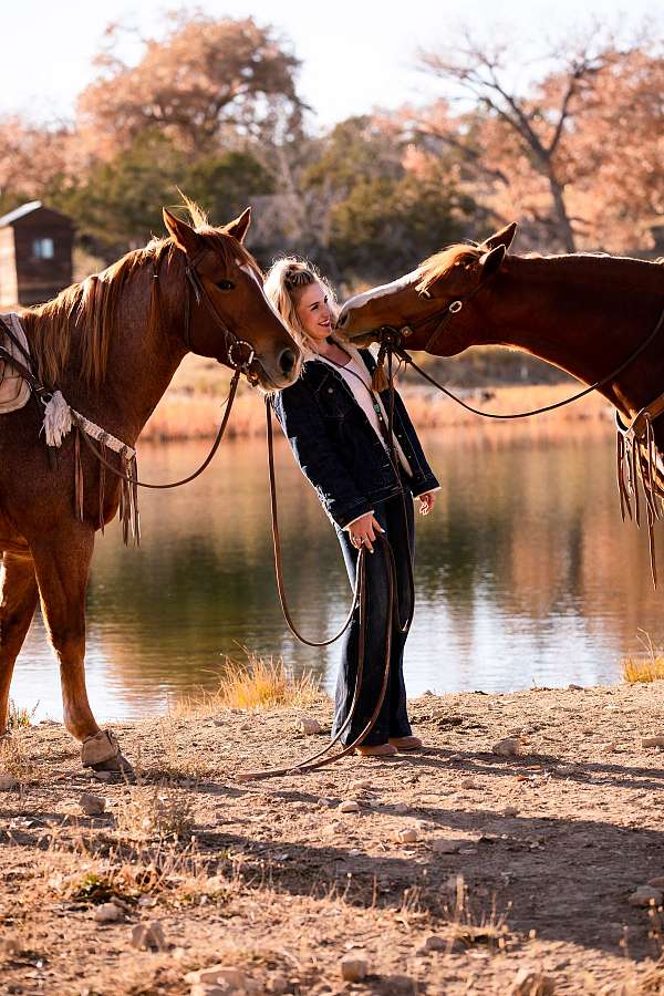 roping-quarter-horse