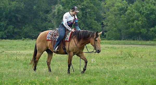 ranch-work-quarter-horse