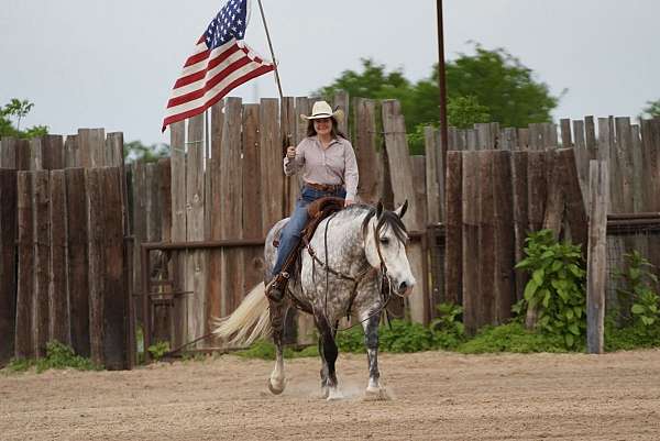 draft-quarter-horse
