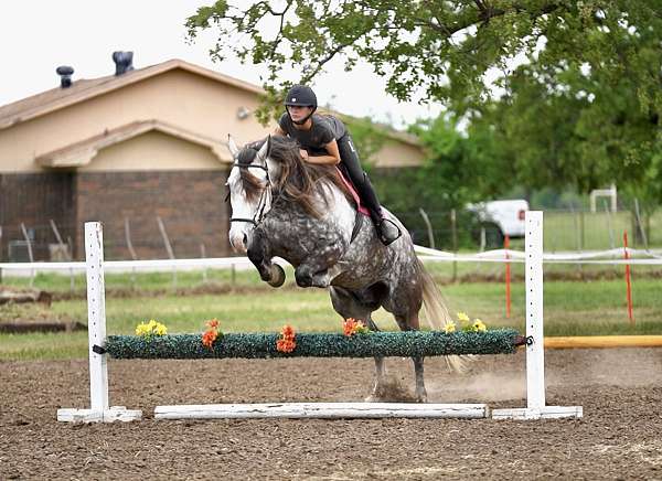 ranch-work-quarter-horse