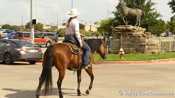 cutting-quarter-horse