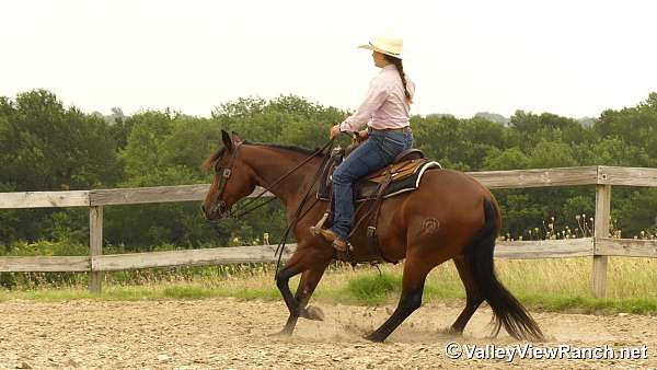 ranch-quarter-horse