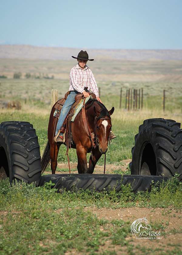 roping-quarter-horse