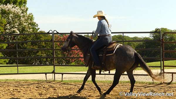 trail-riding-quarter-horse