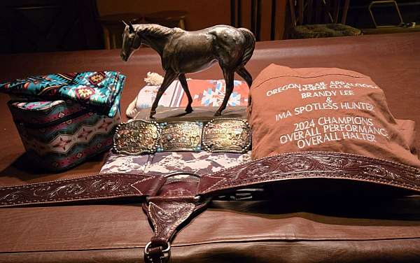 horsemanship-appaloosa-horse