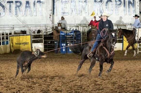 all-around-quarter-horse