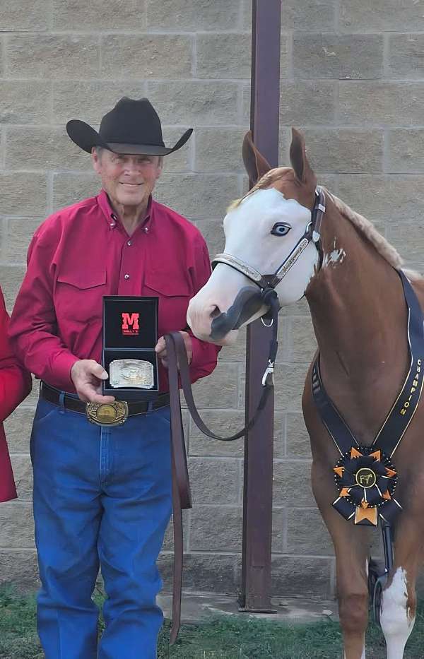 athletic-paint-horse