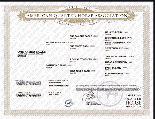 aqha-champion-gelding