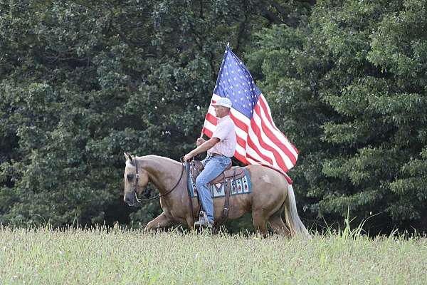 ranch-versatility-quarter-horse