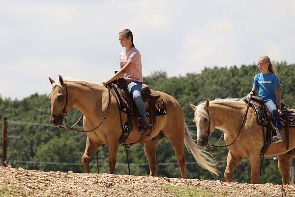 trail-riding-quarter-horse