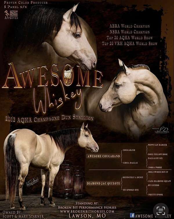 awesome-whiskey-filly-yearling