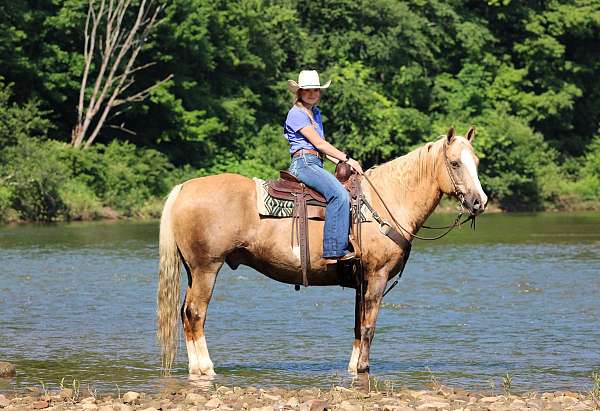 athletic-paint-horse