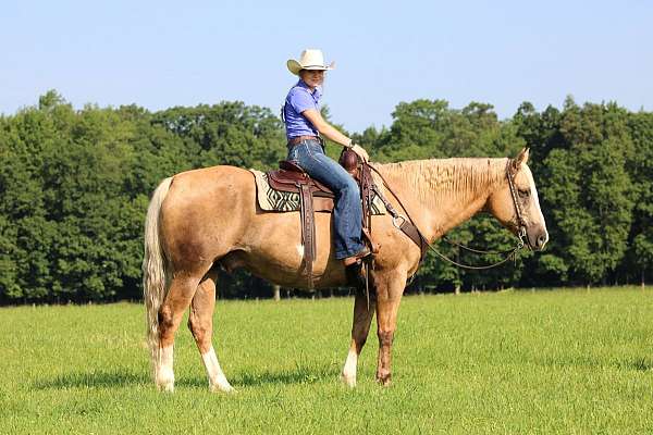 kid-safe-paint-horse