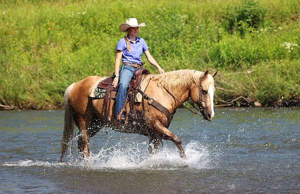 ranch-paint-horse