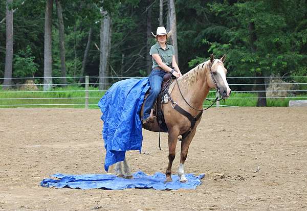 ranch-versatility-paint-horse