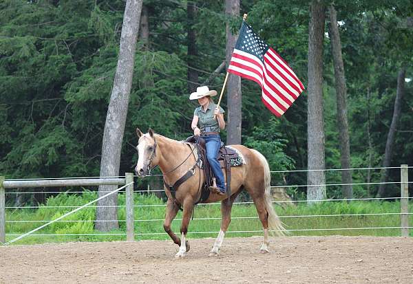 ranch-work-paint-horse