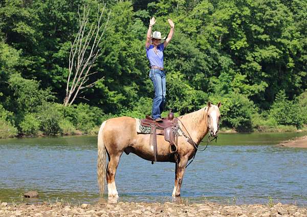 roping-paint-horse