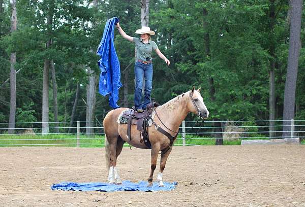 trail-riding-paint-horse