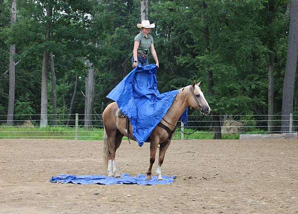 western-riding-paint-horse
