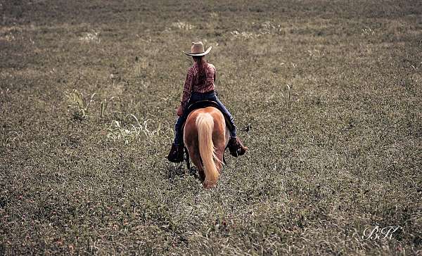 barrel-racing-pony
