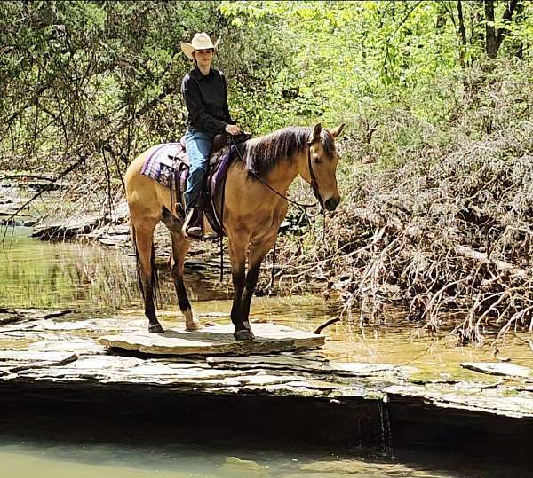 ranch-versatility-quarter-pony