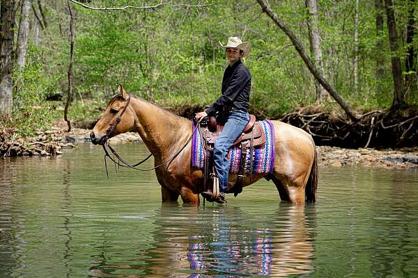 husband-safe-quarter-pony