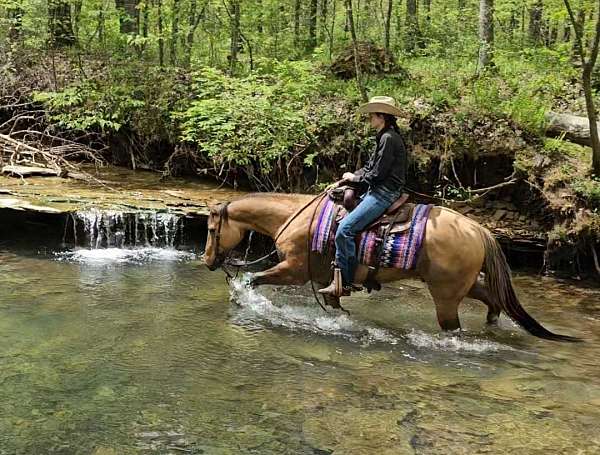 ranch-work-quarter-pony
