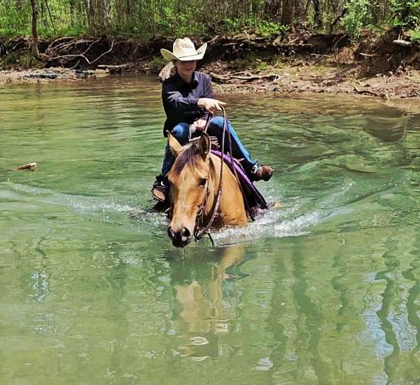 ridden-english-quarter-pony