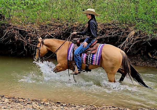 ridden-western-quarter-pony