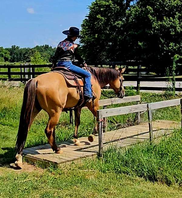 trail-riding-quarter-pony