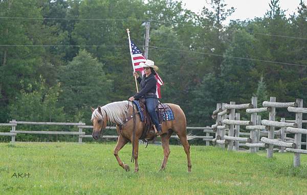 ranch-work-paint-horse