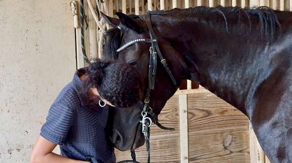 athletic-friesian-horse