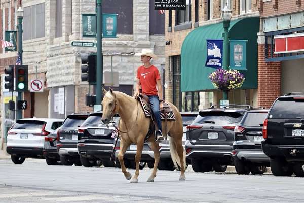 flashy-quarter-horse