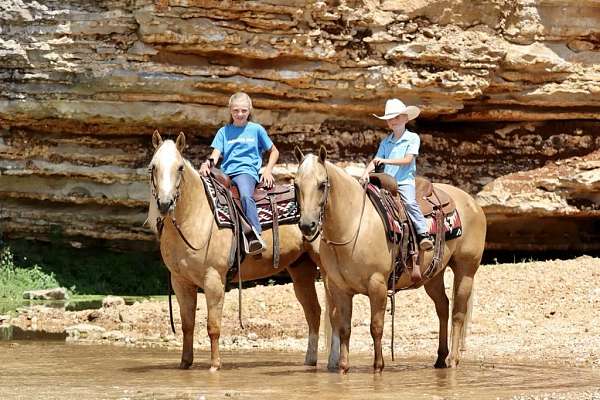 husband-safe-quarter-horse