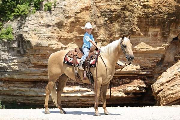 ranch-quarter-horse