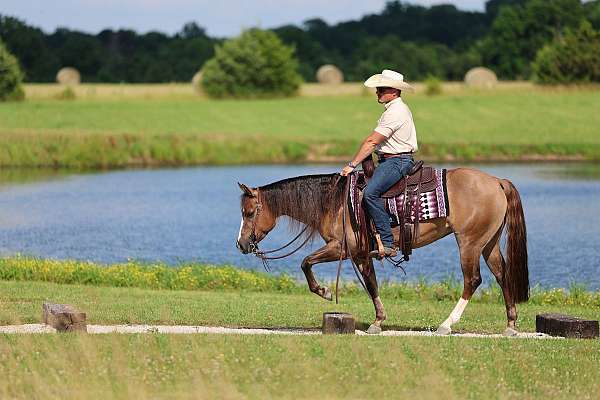 breeding-quarter-horse