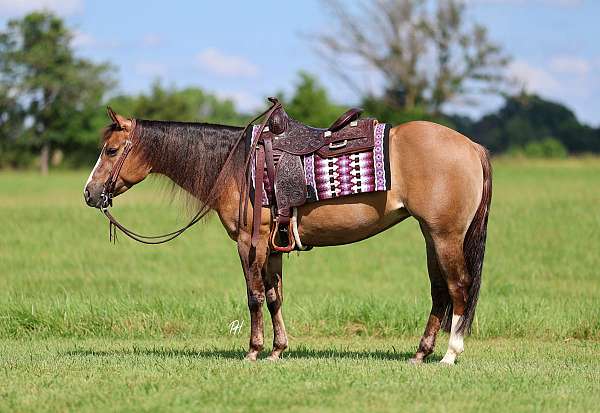 ranch-work-quarter-horse