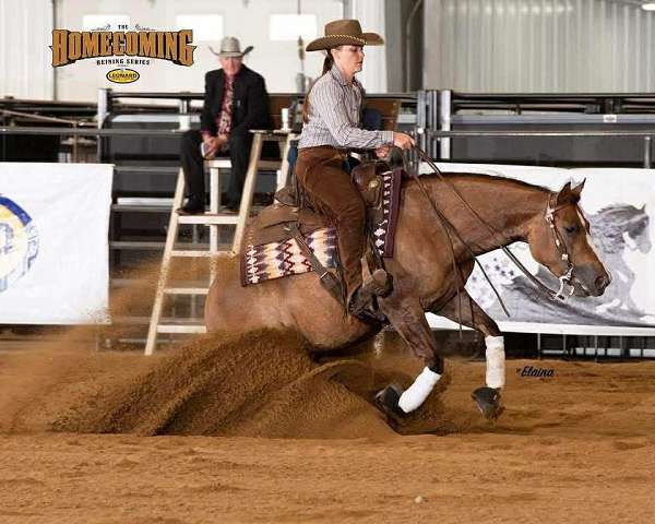 reining-quarter-horse